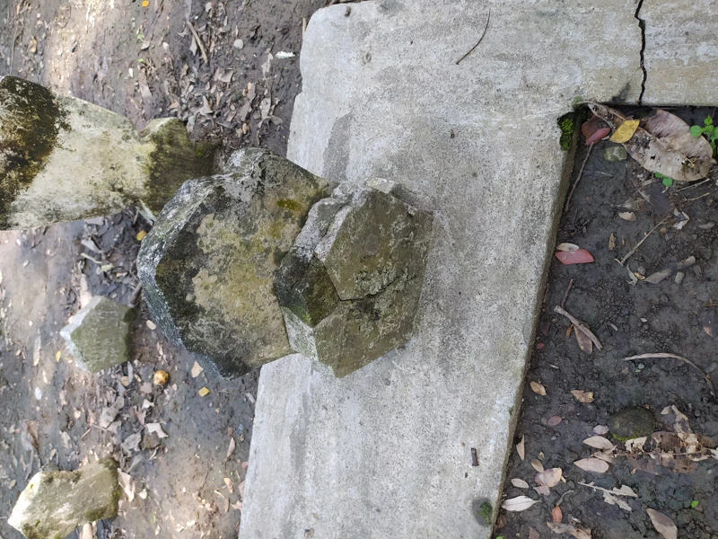 Makam