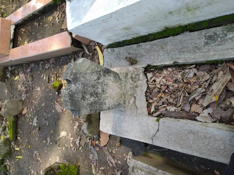 Makam