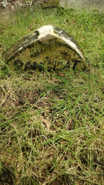 Pangkat