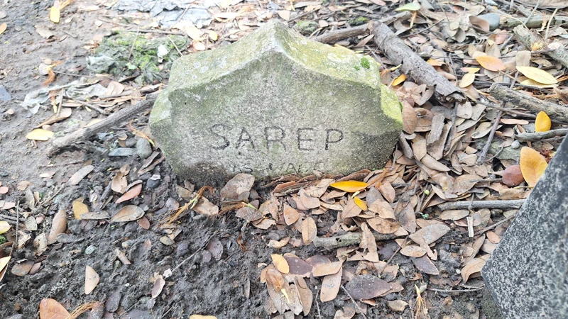 SAREP