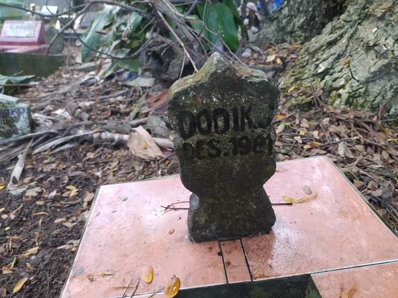 Dodik S