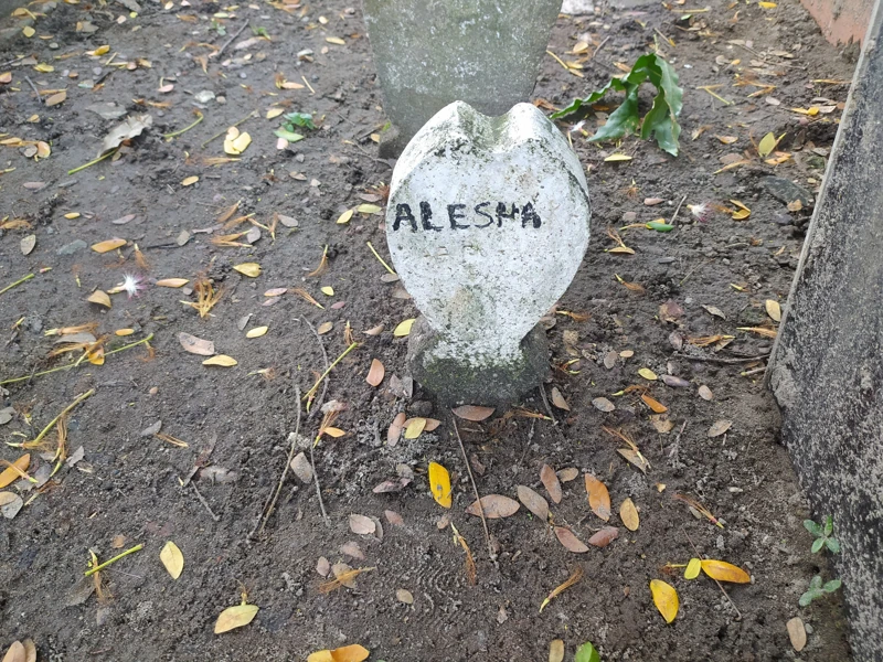 Alesha