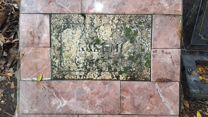 RUSEMI