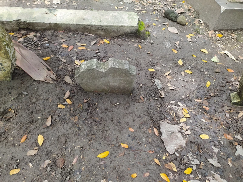 Makam