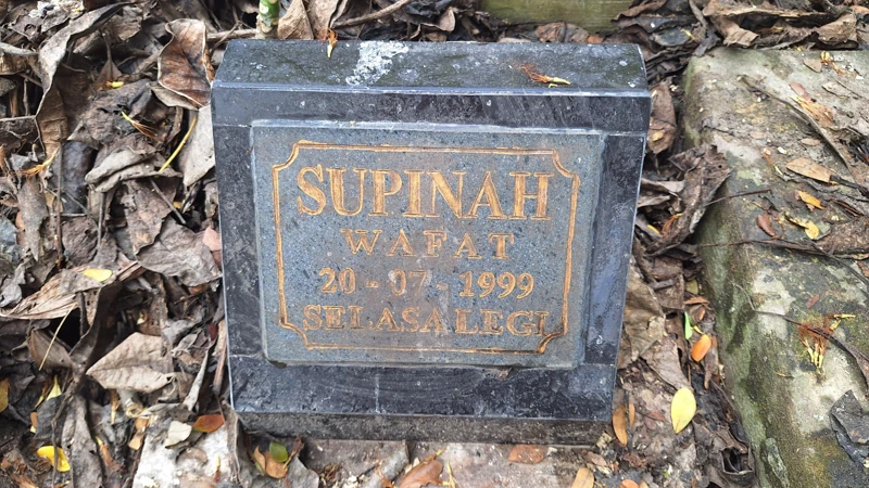 SUPINAH