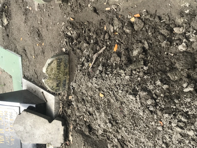 D.MUTMAINAH