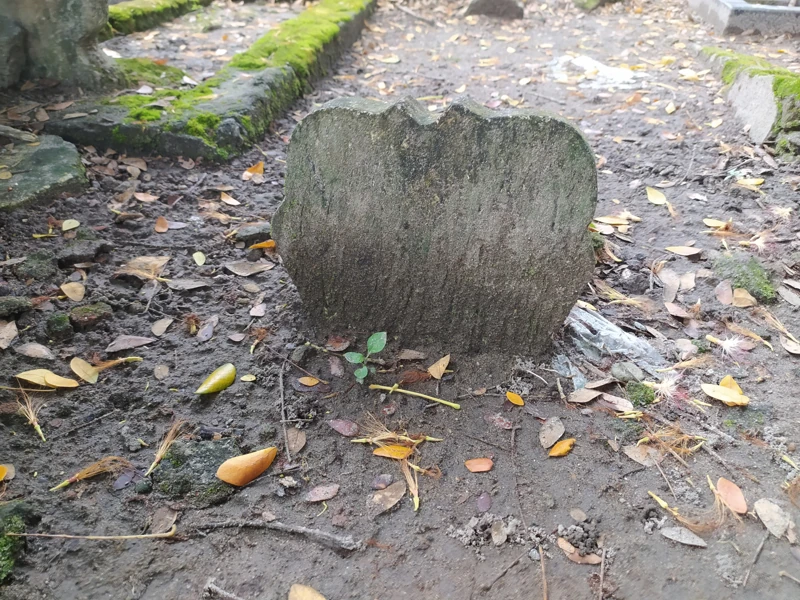 Makam