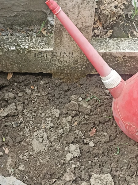 Ibu Rini
