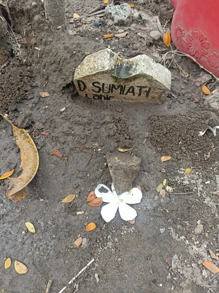 D.sumiati