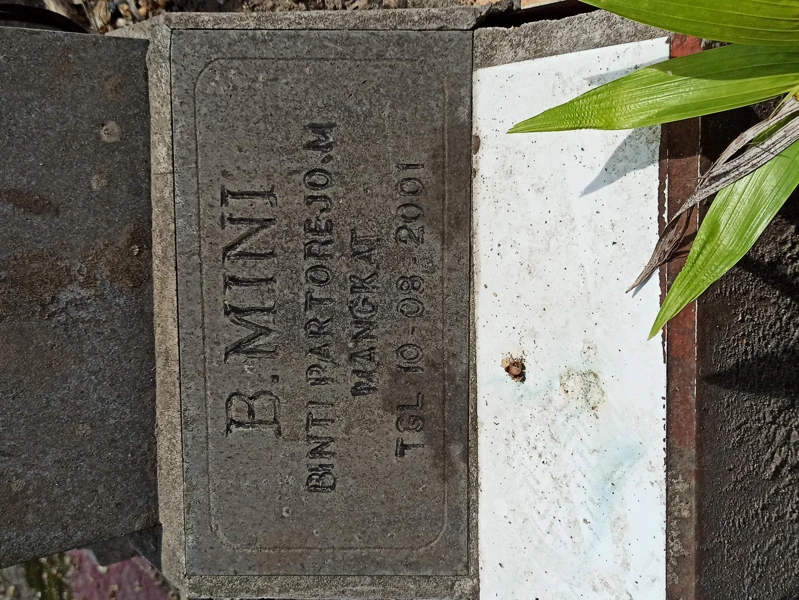 B. MINI