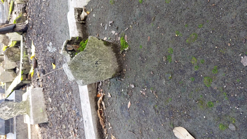 Makam