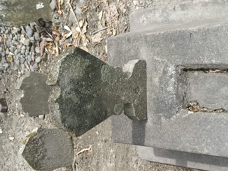 101