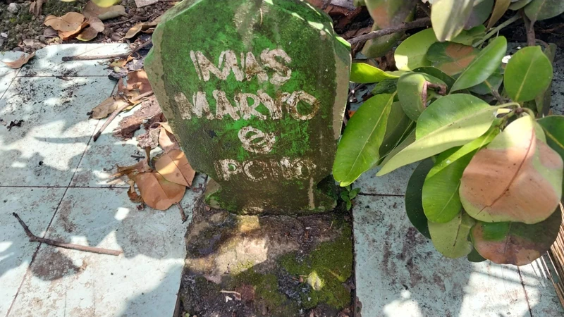 MAS MARYO