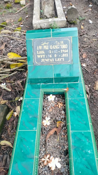 Dwi Priyanggoro