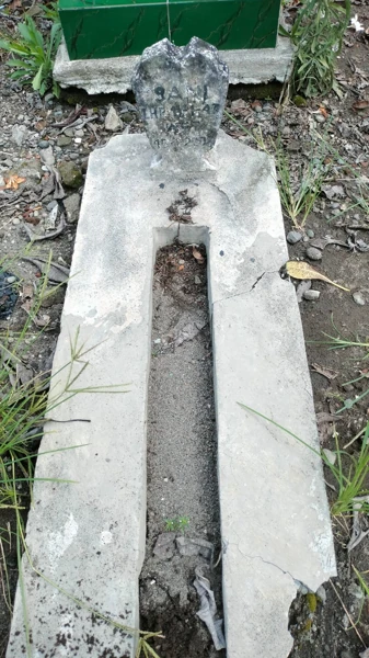 Sani