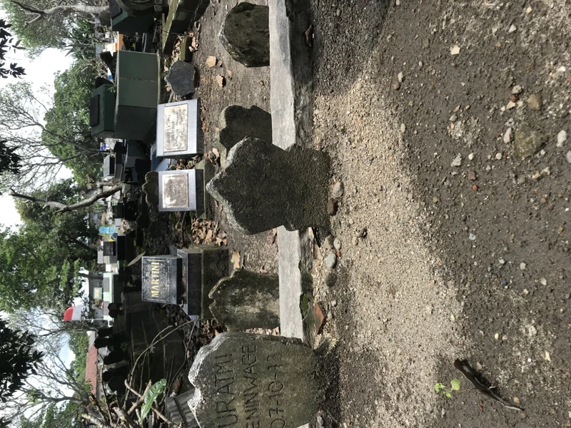 Mujisantoso