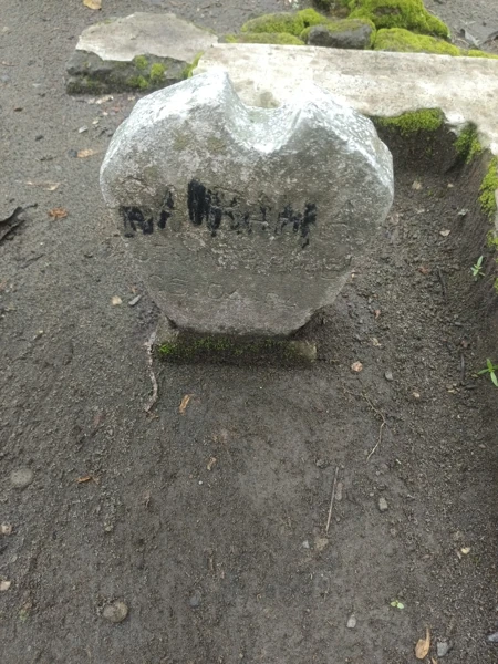 nasibah