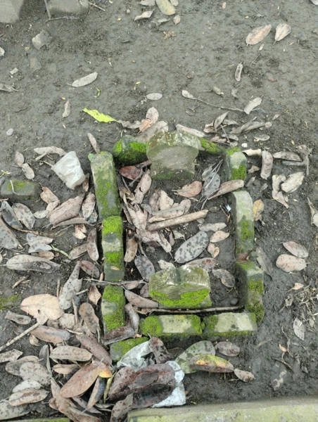 Makam