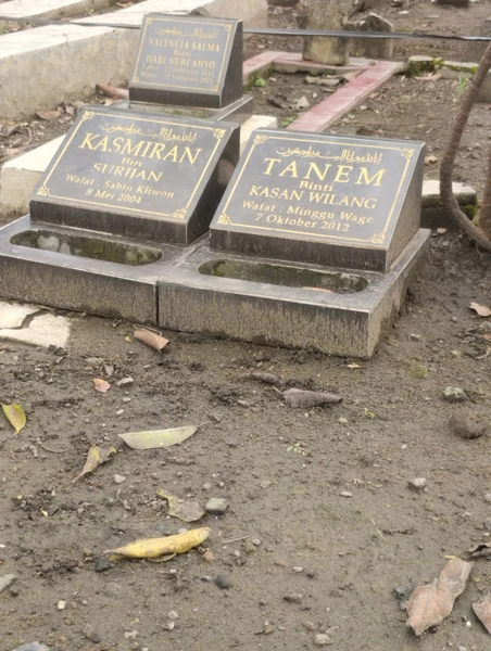 Tanem