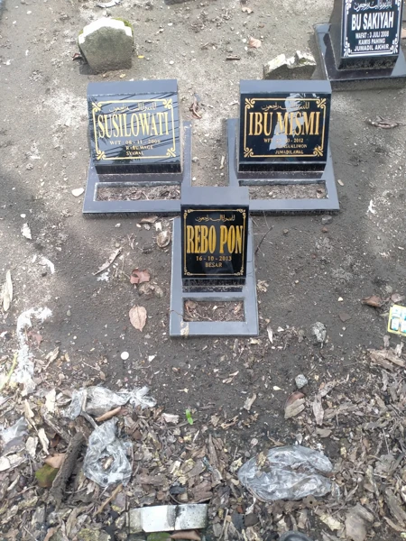 Rebo Pon