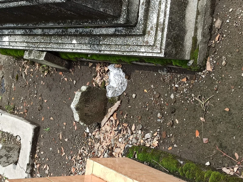 Makam