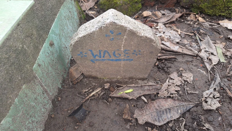 Wage