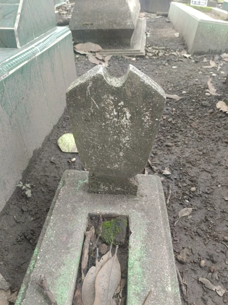 kasiani