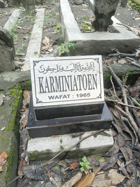 karminiatoen