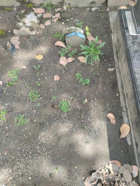 Makam