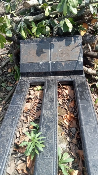 SRI RAHAYU