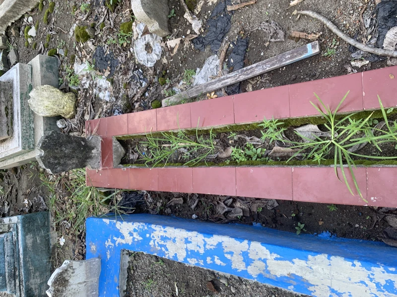Makam