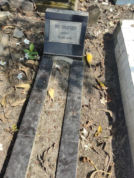 Ibu sriatoen