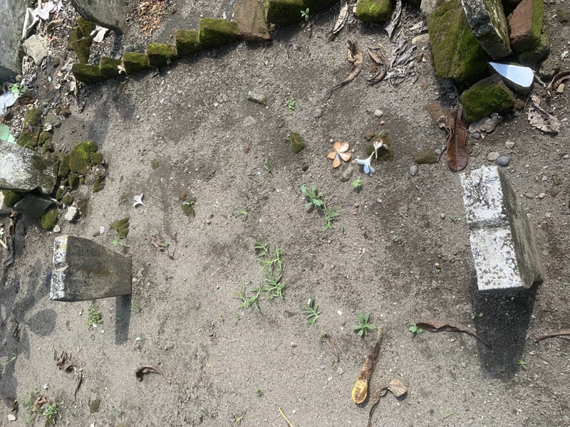Makam