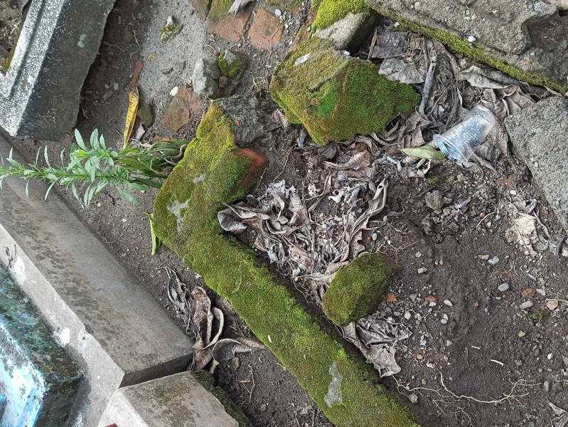 Makam
