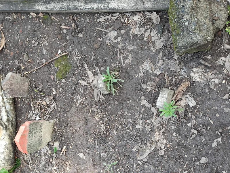 Makam