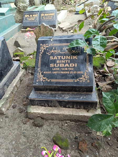 SATUNI