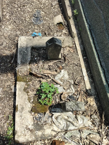 Makam