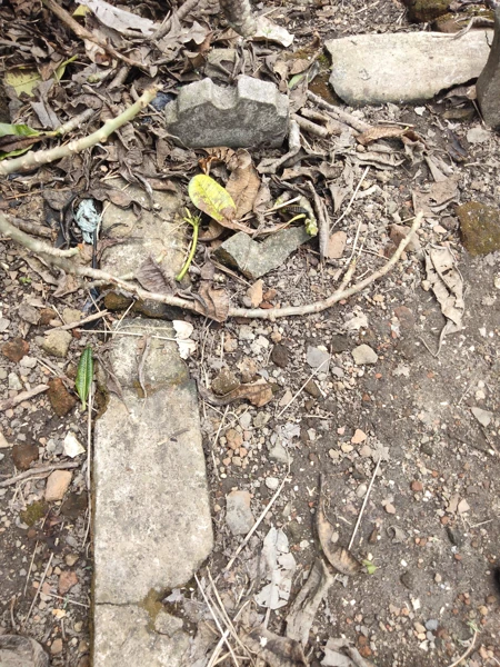 Makam