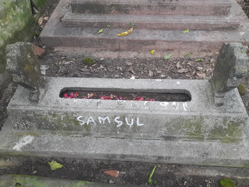 SAMSUL