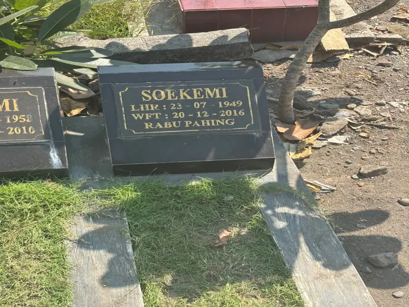Soekemi