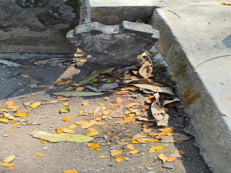 Lilik Sumiyati