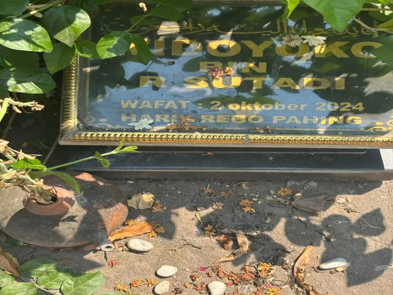 Widoyoko
