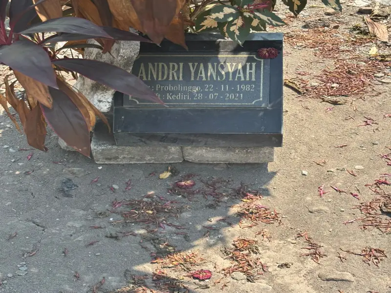 ANDRI YANSYAH