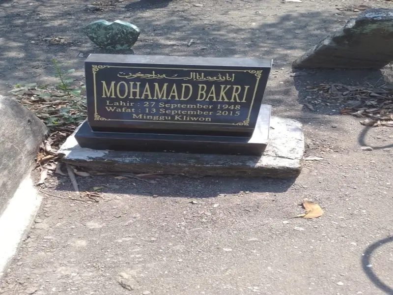 Mohamad Bakri
