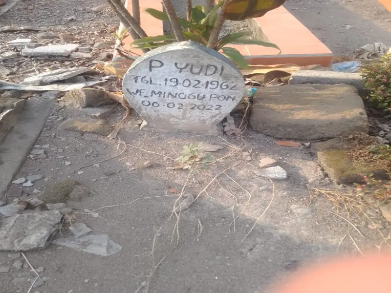 P Yudi