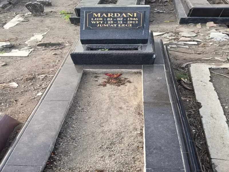 Mardani