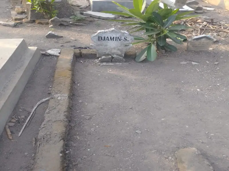 Djamin S
