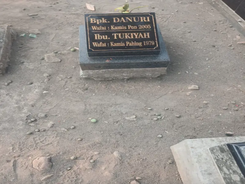 Danuri
