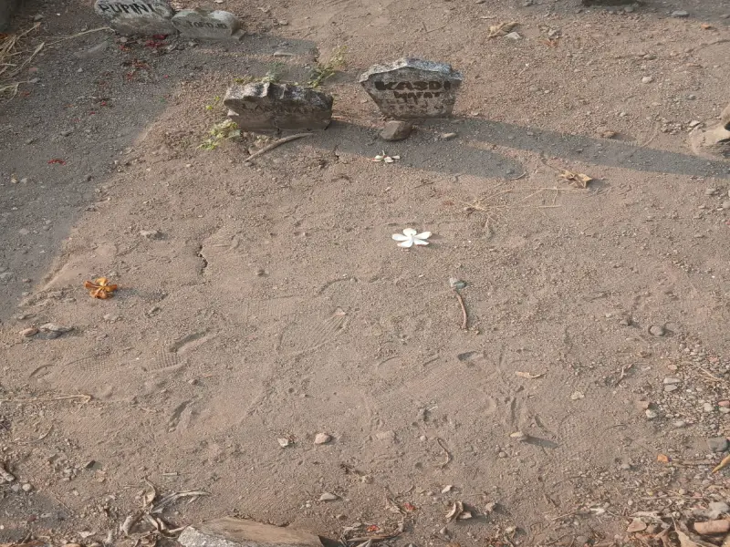 Kasdi