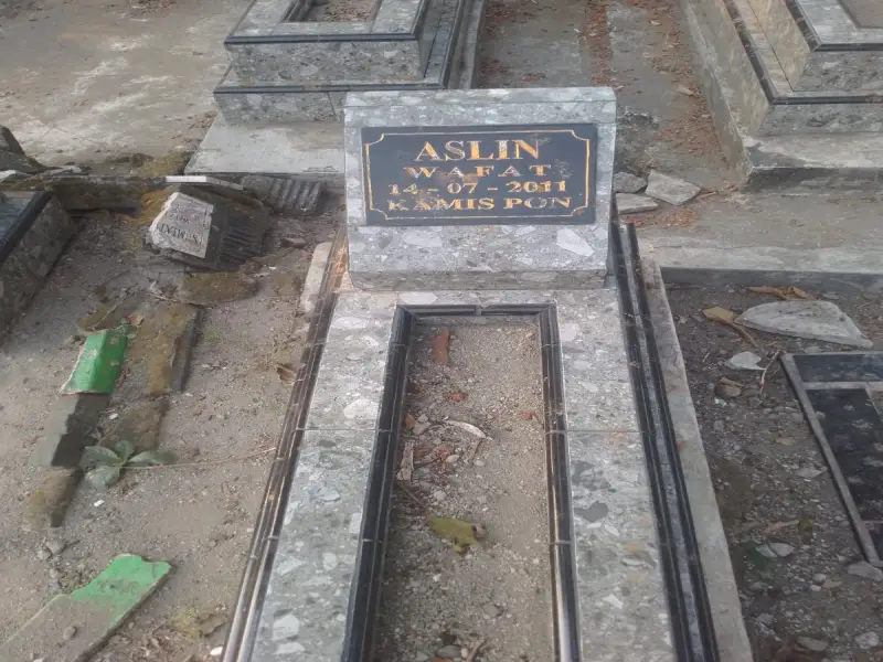 Aslin